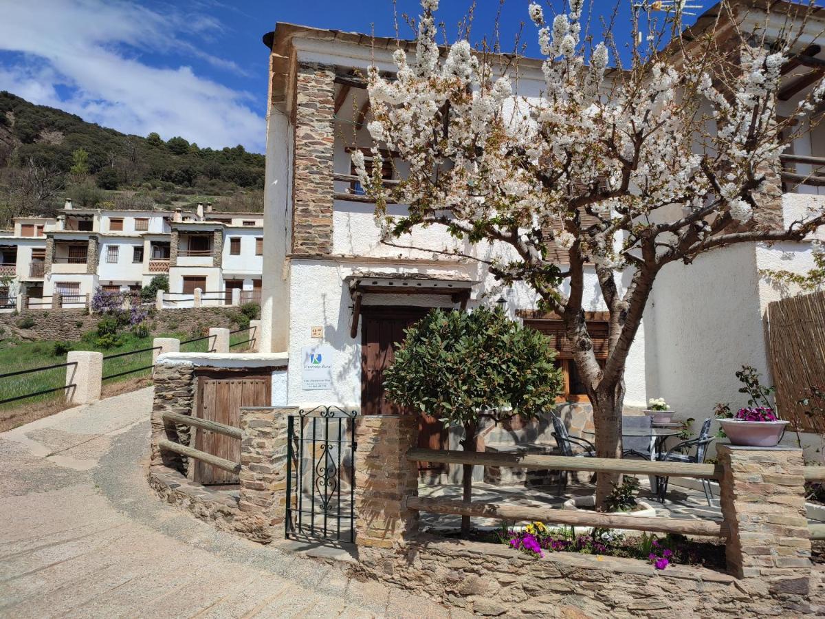Casa Alpujarrena Fina Numero 27 Bubión Zewnętrze zdjęcie